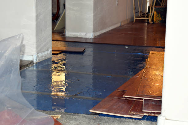 Professional Water Extraction technician working in Little Hocking, OH
